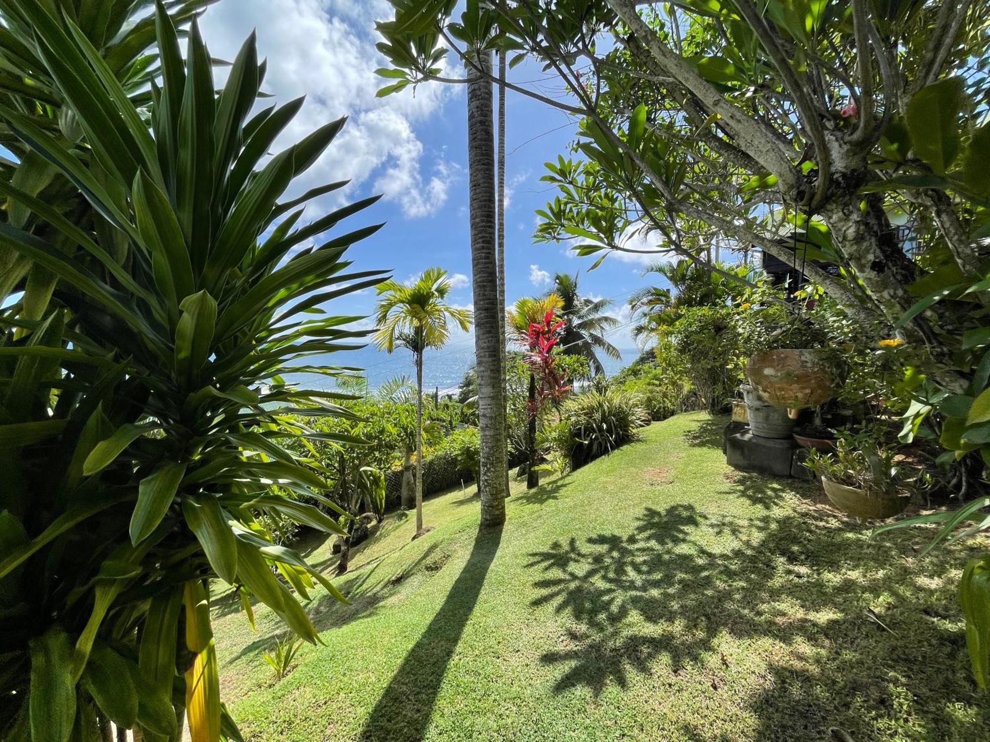 Bougainville