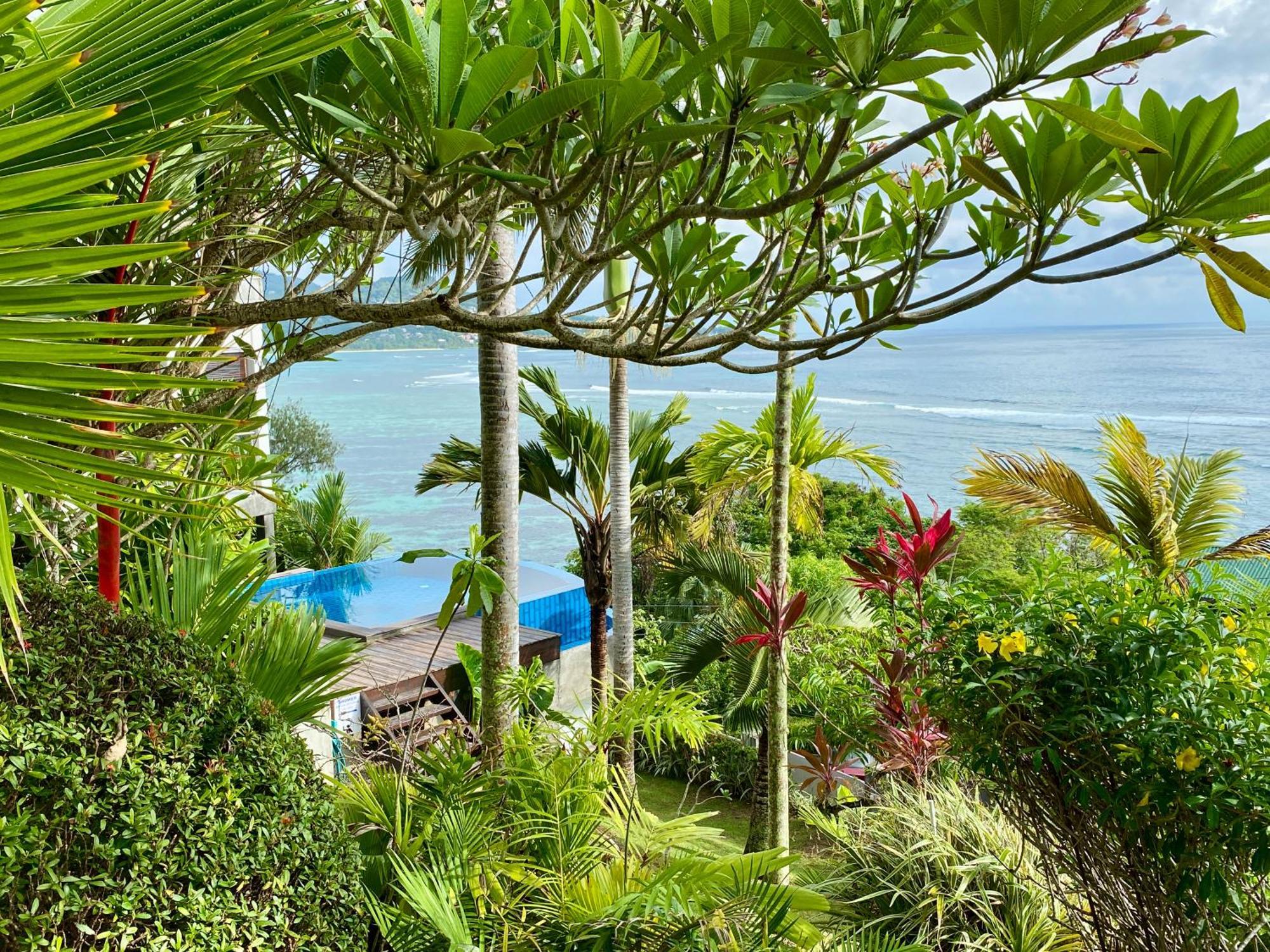 Apartman Bougainville
