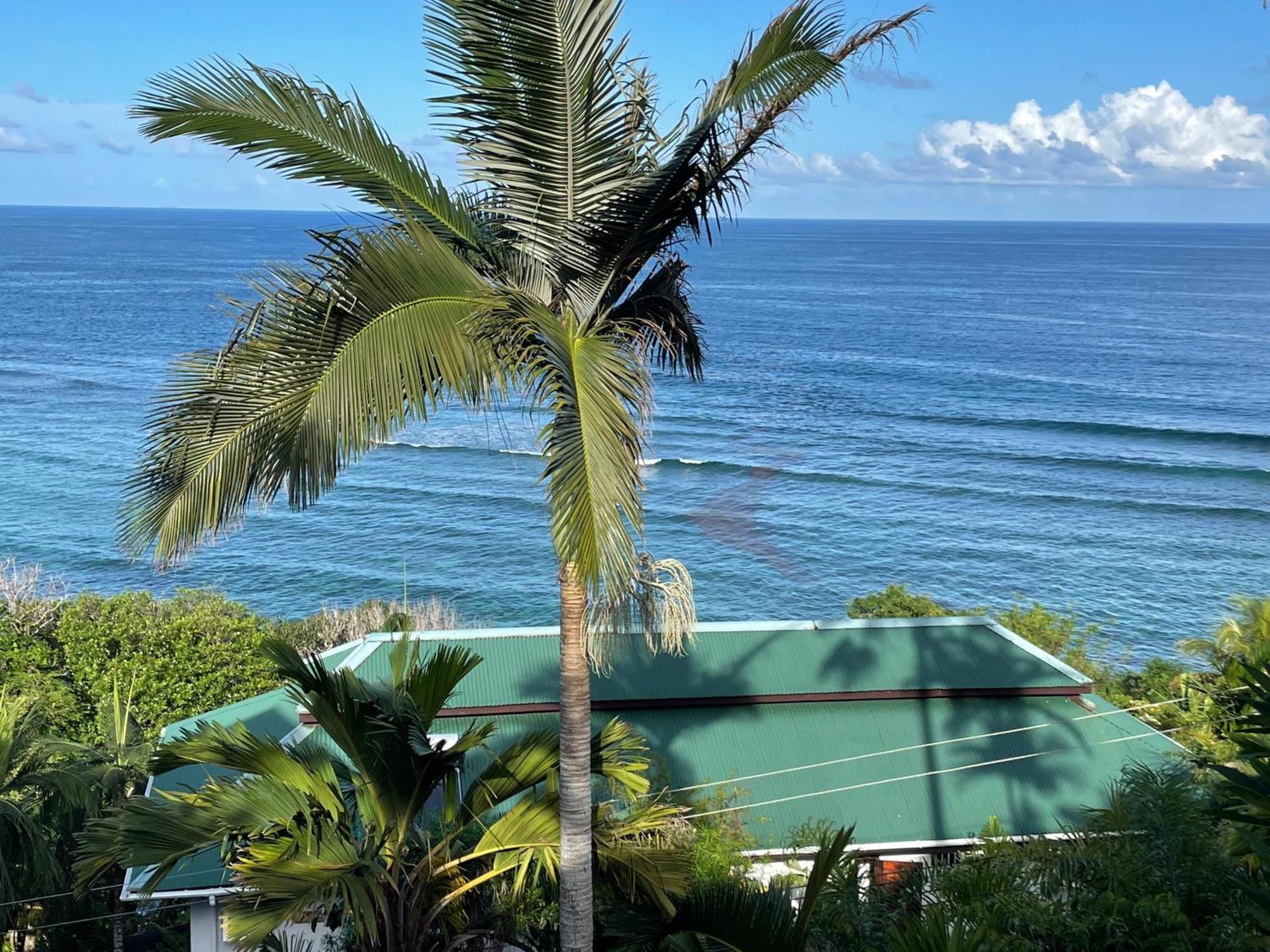Apartman Bougainville *