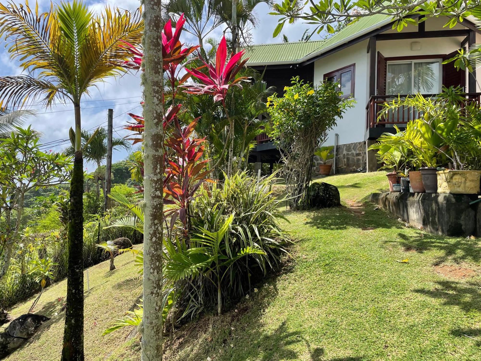 Bougainville