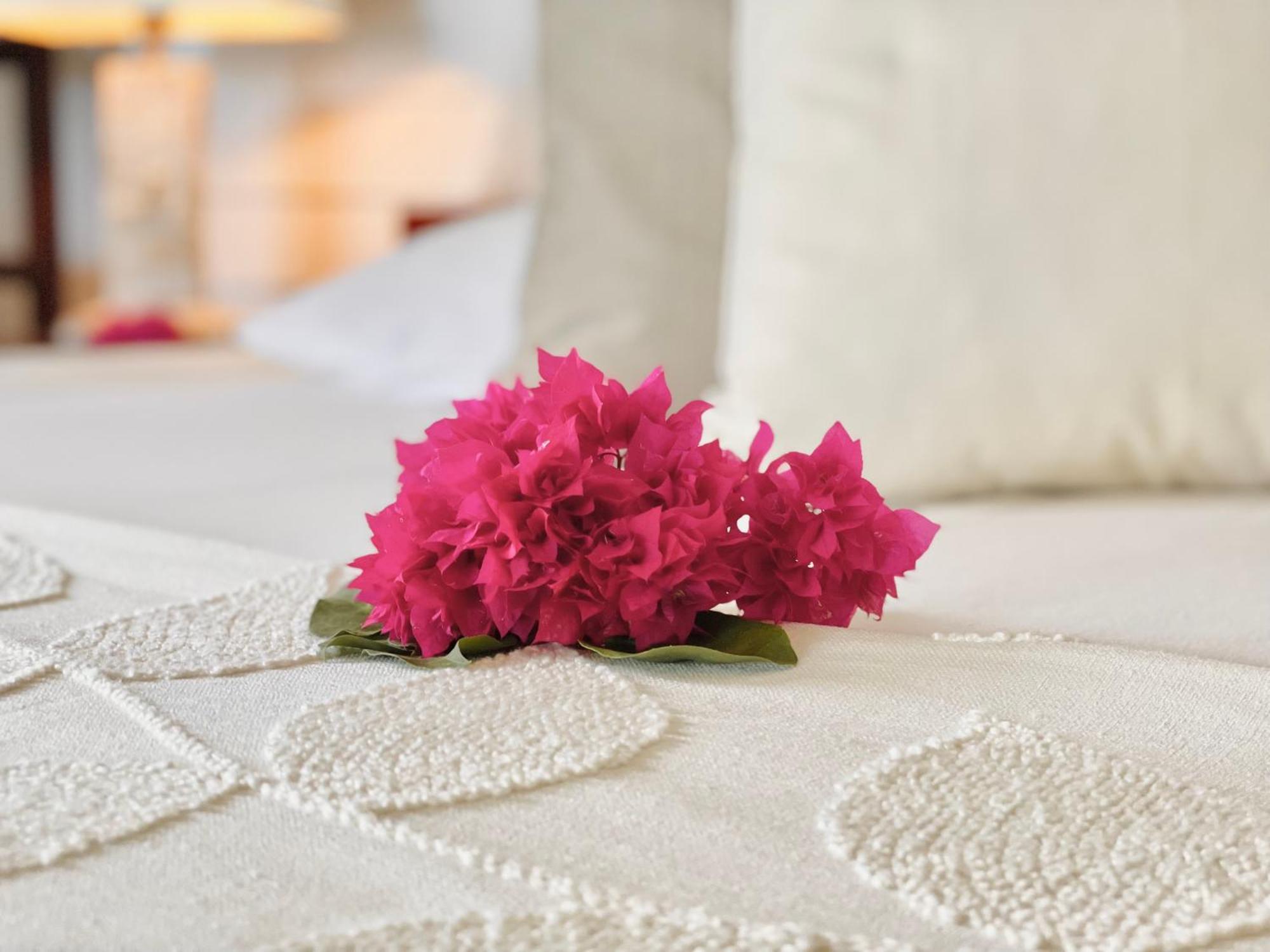 Bougainville Apartman