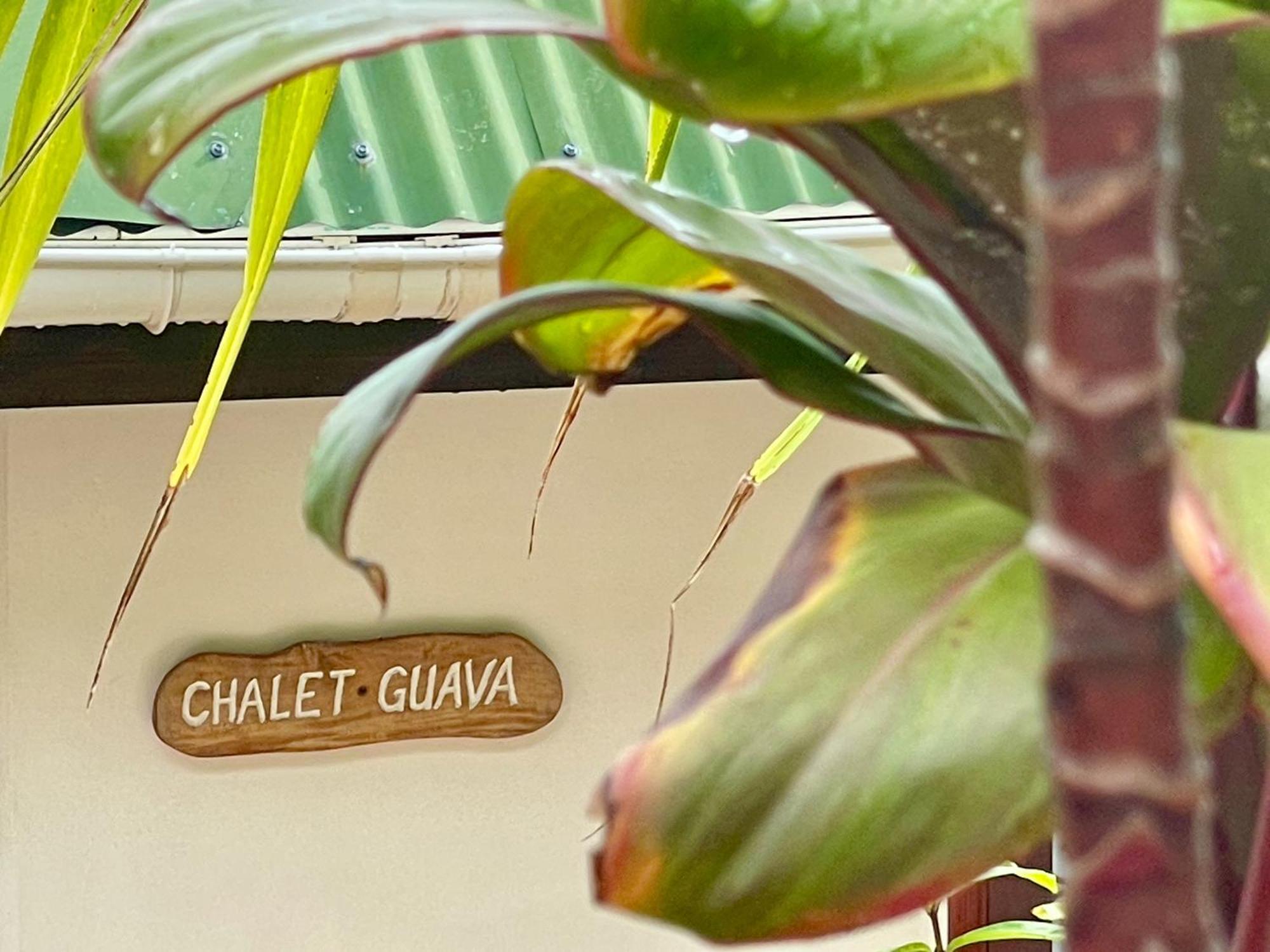 Bougainville דירה